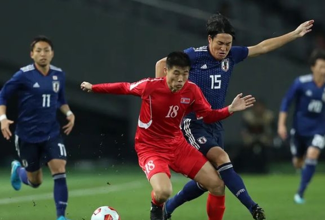 福冈黄蜂 VS 新潟天鹅