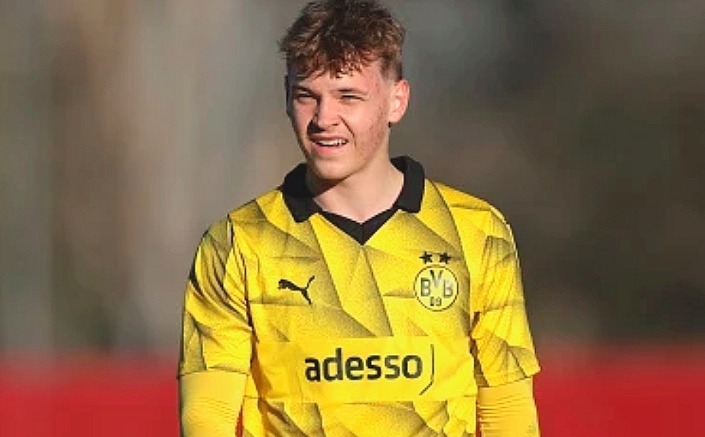 德甲赛场上的美国足球力量