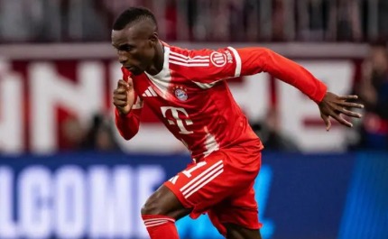 2025年非洲国家杯：荣耀之战，德甲群星闪耀