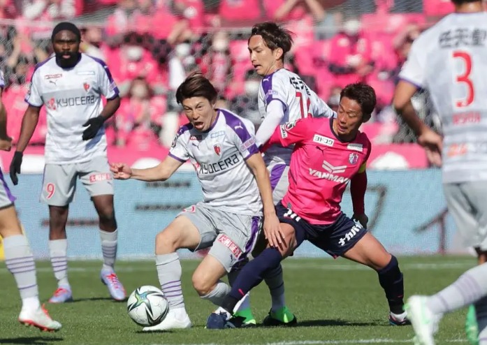 大阪樱花日职联积分排名