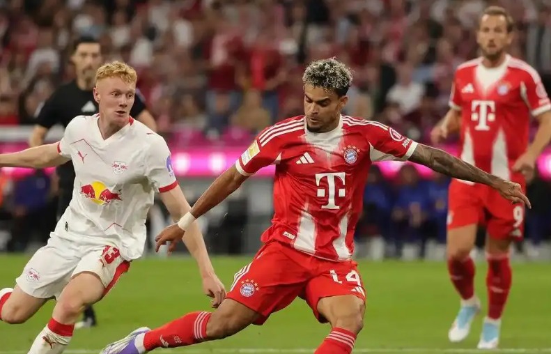 2025/26赛季德甲联赛的最佳球员